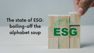 Building blocks with the word ESG on them, and the title "The state of ESG: boiling-off the alphabet soup"